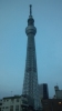 スカイツリー
